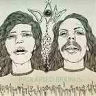 DAY OLD MAN Prolapsed Brainus album cover