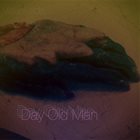 DAY OLD MAN Visual Aids album cover