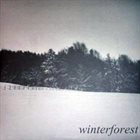 DEAD REPTILE SHRINE Winterforest album cover