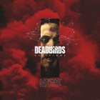 DEADBIRDS Decisions album cover
