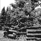 DEAFEST Weakend album cover