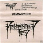 DEMENTED TED Demo 1991 album cover