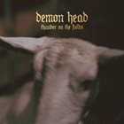 DEMON HEAD Thunder on the Fields album cover