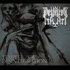 DEVILISH ART Temple of Desintegration album cover