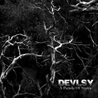 DEVLSY A Parade Of States album cover