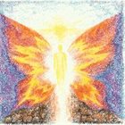 DIAPASON Polycolor Butterfly album cover
