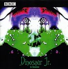DINOSAUR JR. In Session album cover