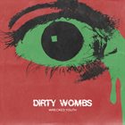 DIRTY WOMBS Wrecked Youth album cover