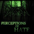 DISEASE INVERSION Perceptions Of Hate album cover