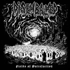DISEMBALMED Fields Of Putrefaction album cover