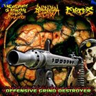 DISGORGEMENT OF INTESTINAL LYMPHATIC SUPPURATION Offensive Grind Destroyer album cover
