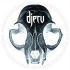 DJERV Djerv album cover