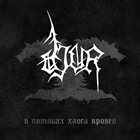 DJUR В Потоках Хаоса Кровей album cover