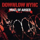DOWN LOW Wall Of Anger album cover