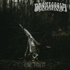 DRONEGOOLA MACHINE Cone Forest album cover