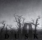 DUSK Dusk / ...Majestic Thou in Ruin album cover