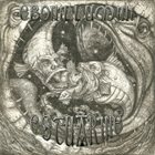 EBONILLUMINI Estuarine / Grand Religious Finale album cover