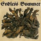 ENDLESS BUMMER Fritzl album cover