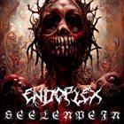 ENDOPLEX Seelenpein album cover