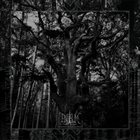 ENISUM Seasons of Desolation album cover