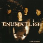 ENUMA ELISH A Shine of Darkness album cover