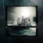 ERKHRANKUNG B​.​T​.​T. & Like Desolate Like True & Nihilism & Erkhrankung album cover
