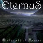 ETERNUS Labyrinth of Reason album cover