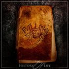 FALLING FOR A DREAM History Of Life album cover
