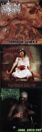 FECALIZER Dead Human Toilet / Gore Fucking Bless You / Gore Auto-psy album cover