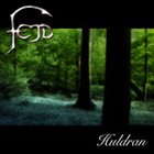 FEJD Huldran album cover
