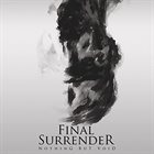 FINAL SURRENDER Nothing But Void album cover