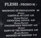 FLESH Promo 91 album cover