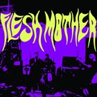 FLESH MOTHER Flesh Mother album cover
