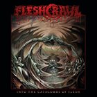 FLESHCRAWL Into the Catacombs of Flesh album cover