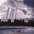 FLESHPRESS — Pillars album cover