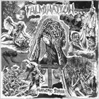 FULMINATION Humanity's Dirge album cover