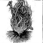 FURDIDURKE Bone Awl / Furdidurke album cover
