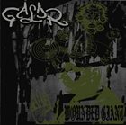 GALDR (WA) Wounded Giant album cover