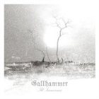 GALLHAMMER Ill Innocence album cover