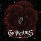 GALNERYUS Reincarnation album cover