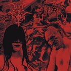 GOATVERMIN Cult of the Horns / Goatvermin album cover