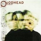 GODHEAD Evolver album cover