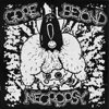 GORE BEYOND NECROPSY Arsedestroyer / Gore Beyond Necropsy album cover