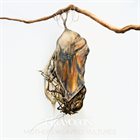 GRAYCEON Mothers Weavers Vultures album cover