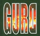 GURD 10 Years of Addiction album cover