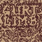 GURT Split Roast album cover