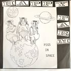 HAPPY FARM Pigs In Space album cover