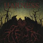 HARNESS Disgrace / Harness album cover