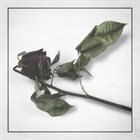 HARROWAY Bloom In A Dark Room album cover