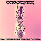 WISE MAN SAY Big Dumb And Stupid Looking album cover